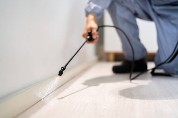 Licensed Termite Control service in Deer Lodge County County, MT - Nex Pest Control